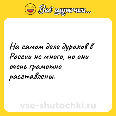 Шутка: На самом деле дураков в России не много, но они очень грамотно расставлены.