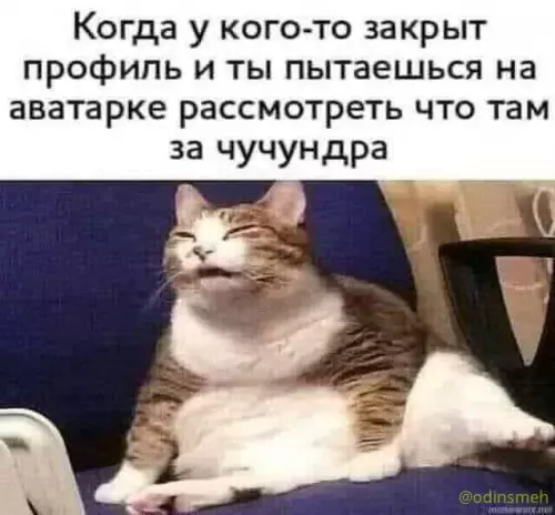 Смешная картинка №656001