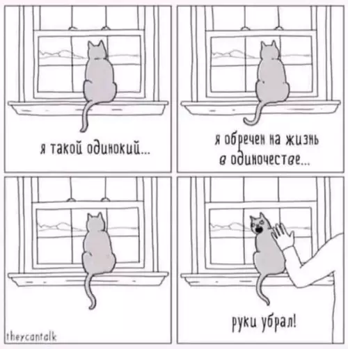 Смешная картинка №331350 Коротко про моего кота коты