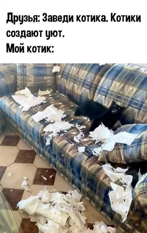 Смешная картинка №680231 Он создал свой особый уют коты