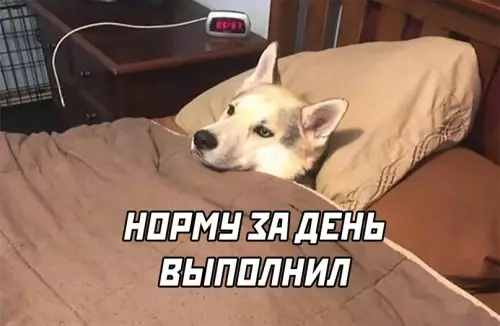 продолжение Смешная картинка №619114