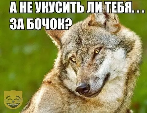 Смешная картинка №382705 #приколы #картинки #мемы ?