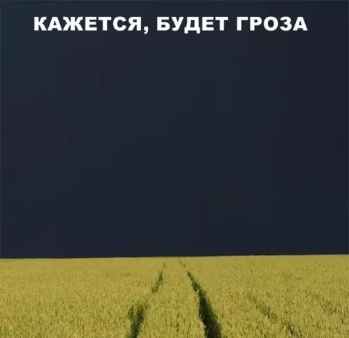 Смешная картинка №290623