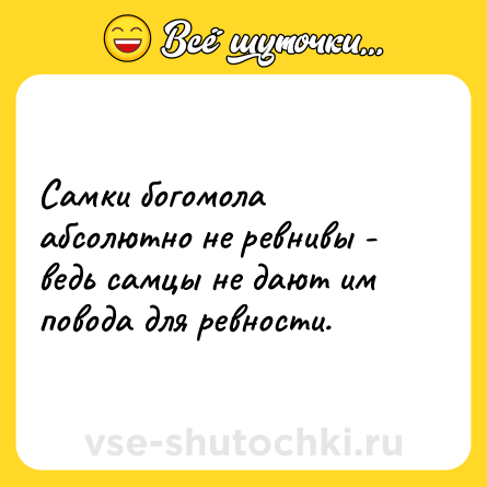 Шутка: Самки богомола абсолютно не ревнивы - ведь самцы не дают им повода для ревности.
