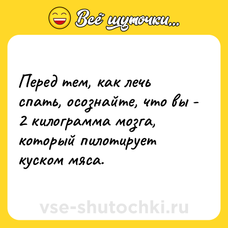 Шутка: Перед тем, как лечь спать, осознайте, что вы - 2 килограмма мозга, который пилотирует куском мяса.