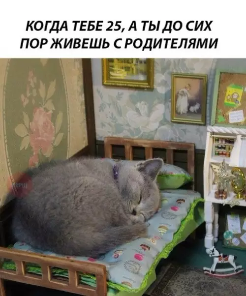 Смешная картинка №265641