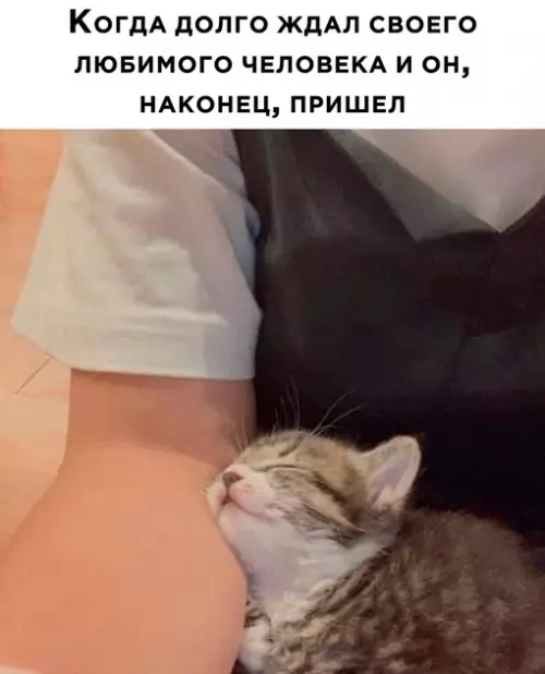 Смешная картинка №695589