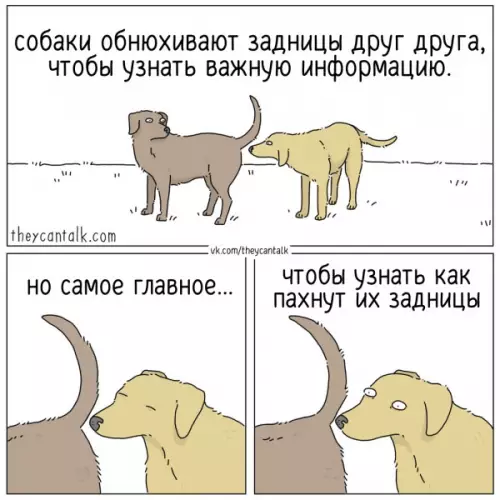 Смешная картинка №750418
