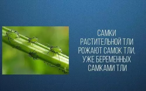 Смешная картинка №187271