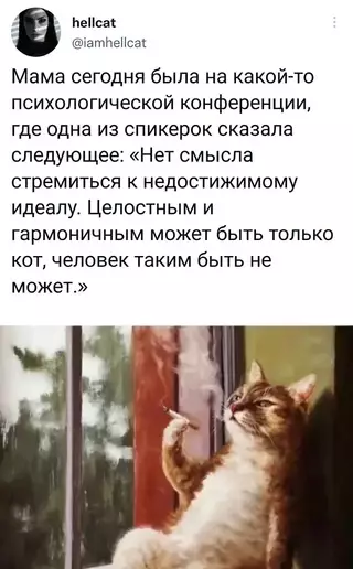 Смешная картинка №702300 Коты