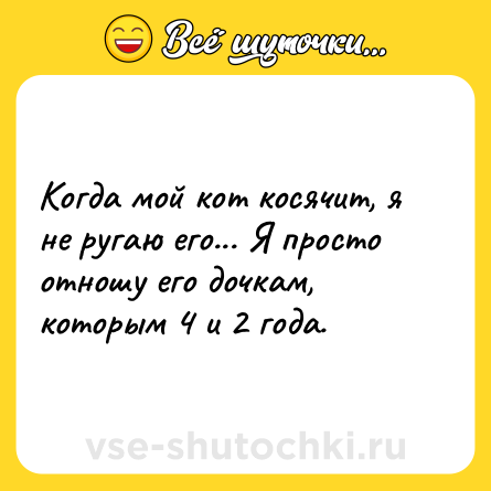 Шутка: Когда мой кот косячит, я не ругаю его... Я просто отношу его дочкам, которым 4 и 2 года.