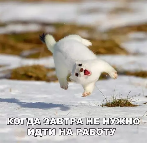 Смешная картинка №255924