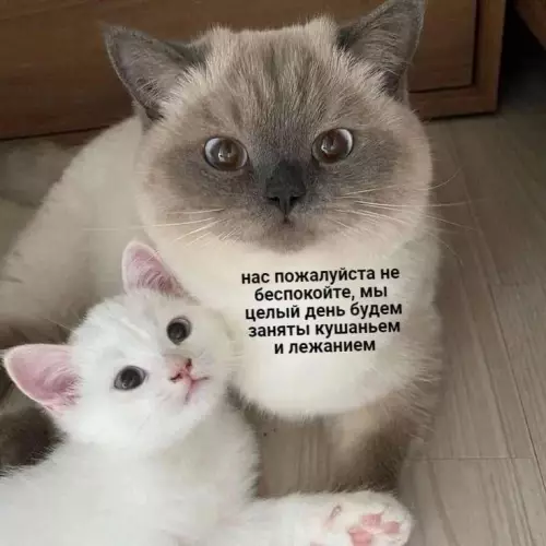 Смешная картинка №774907