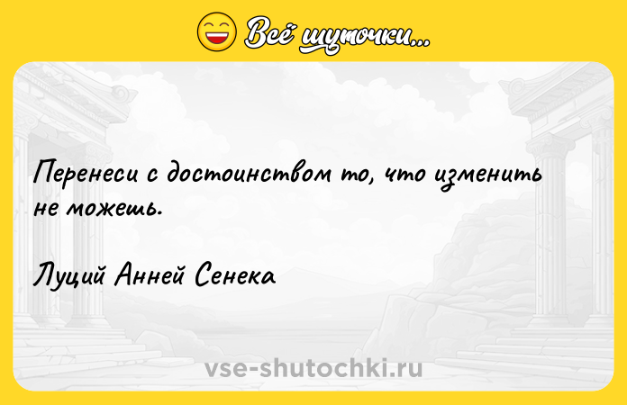 Цитата: Перенеси с достоинством то, что изменить не можешь.Луций Анней Сенека