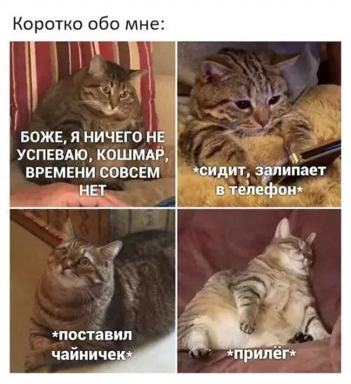 Смешная картинка №482003