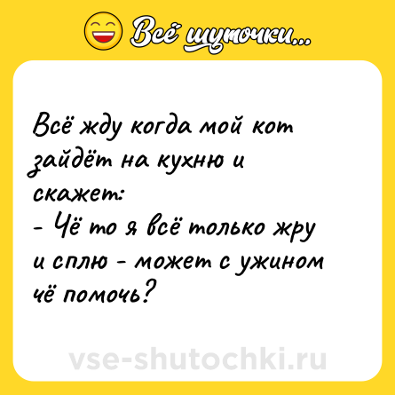 Шутка: Всё жду когда мой кот зайдёт на кухню и скажет:<br>- Чё то я всё только жру и сплю - может с ужином чё помочь?