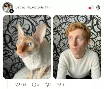 продолжение Смешная картинка №802182