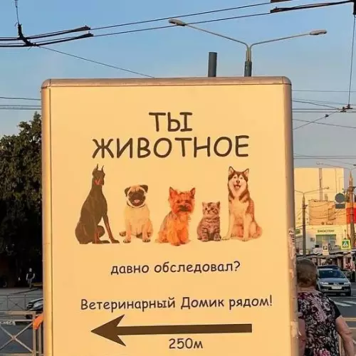Смешная картинка №686645