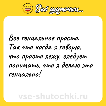 Шутка: Все гениальное просто. Так что когда я говорю, что просто лежу, следует понимать, что я делаю это гениально!