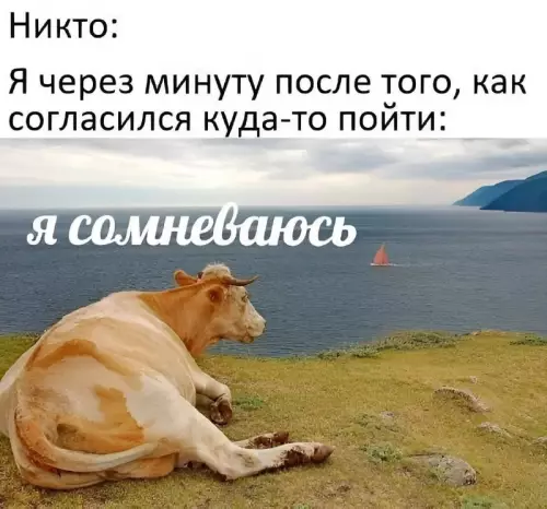 Смешная картинка №718895