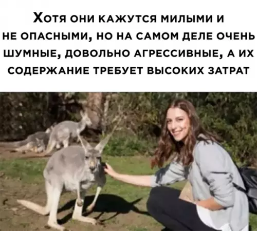 Смешная картинка №563819
