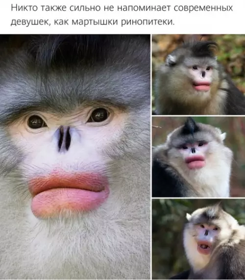 Смешная картинка №512789