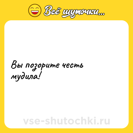 Шутка: Вы позорите честь мудила!