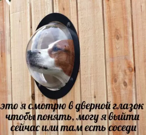 Смешная картинка №655295
