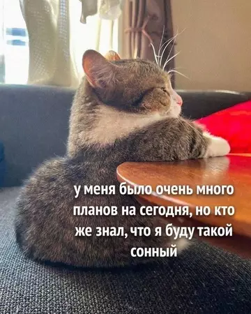 Смешная картинка №738275