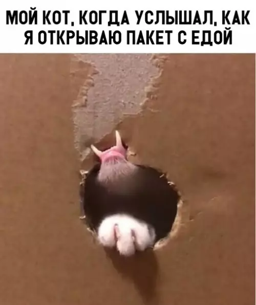 Смешная картинка №307125