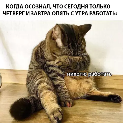 Смешная картинка №290069