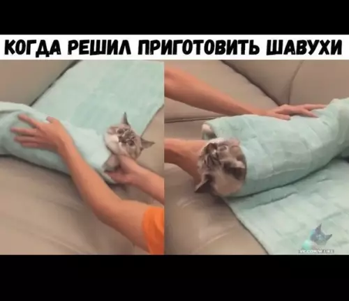 Смешная картинка №380454
