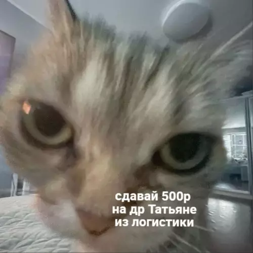 Смешная картинка №672350