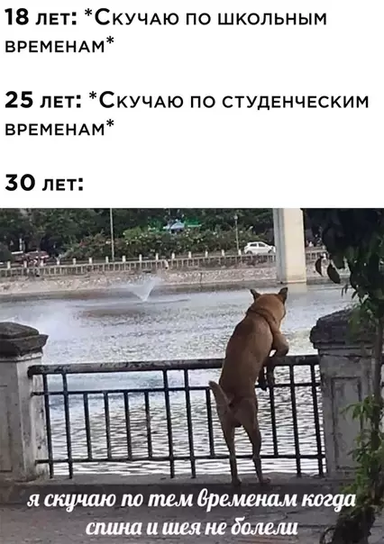 Смешная картинка №513342