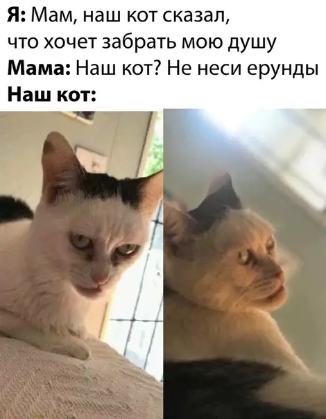 Смешная картинка №478789