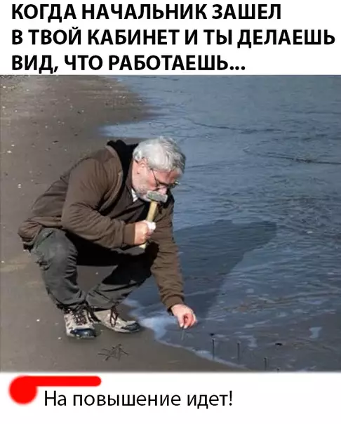 Смешная картинка №291142