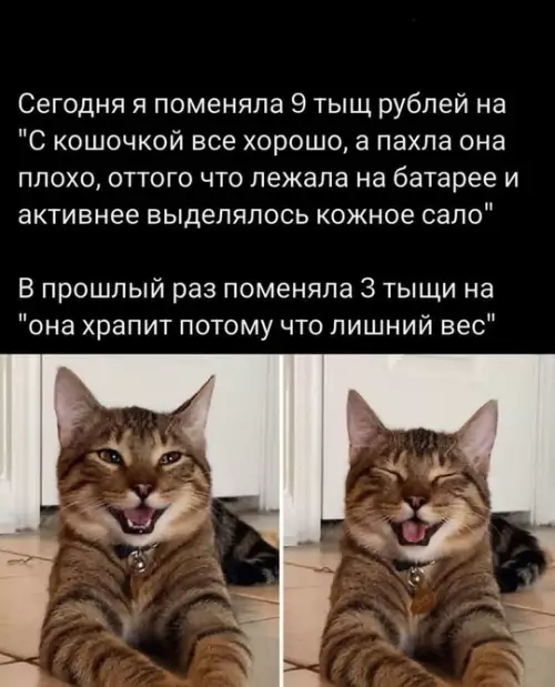 Смешная картинка №766623