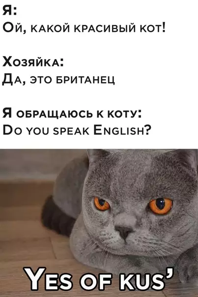 Смешная картинка №506865