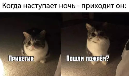 Смешная картинка №393707