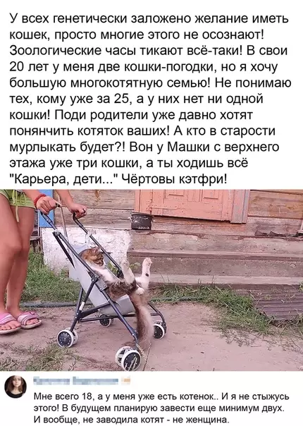 Смешная картинка №487895 Дал бог котейку, даст и земельку.