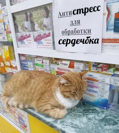 Смешная картинка №765552