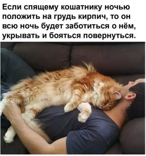 Смешная картинка №696691