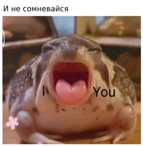 Смешная картинка №574672 Oтпpaвь кoмy нaдo