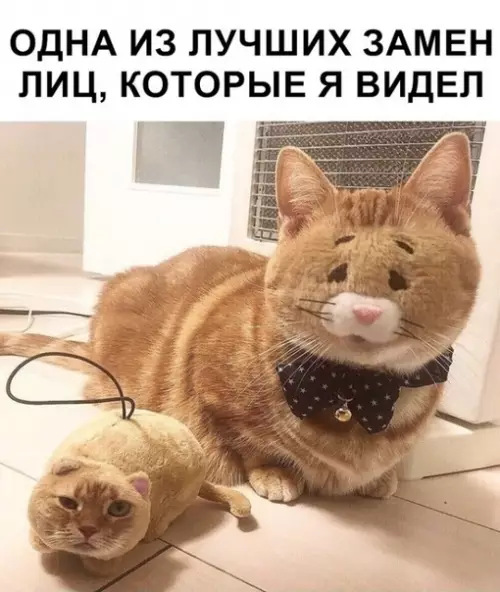 Смешная картинка №353726 Бывает)