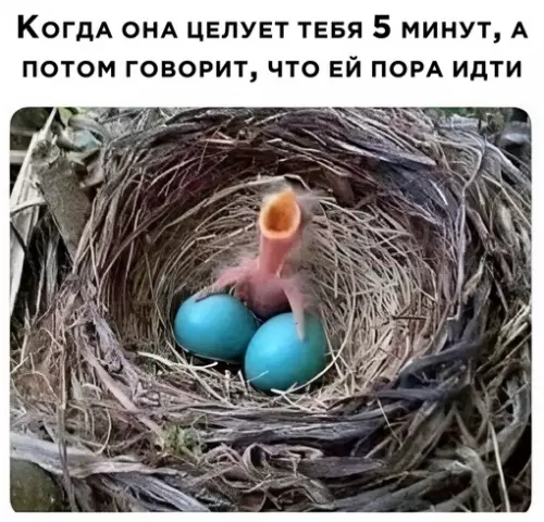Смешная картинка №701455