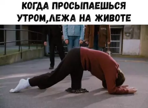 Смешная картинка №221000