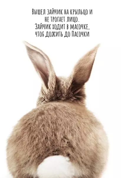 Смешная картинка №537452