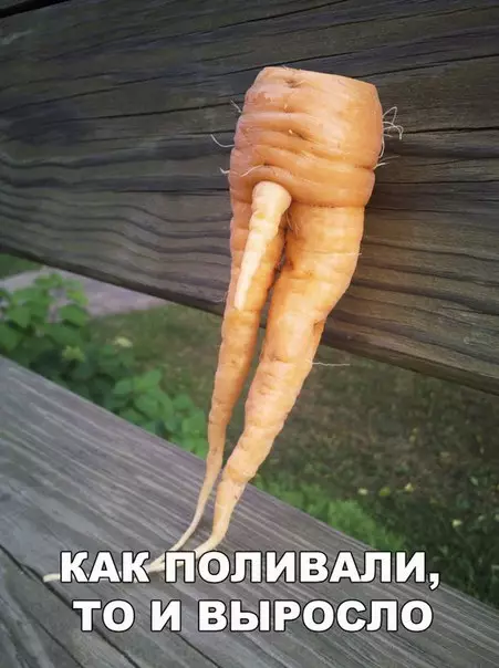 Смешная картинка №256478