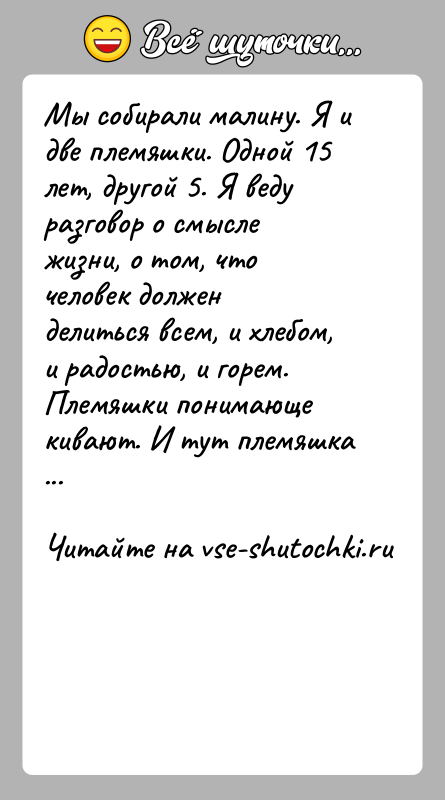 История: Мы собирали малину. Я и две племяшки. Одной 15 лет, другой 5. Я веду разговор о смысле жизни, о том,