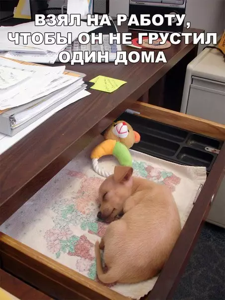 Смешная картинка №261458